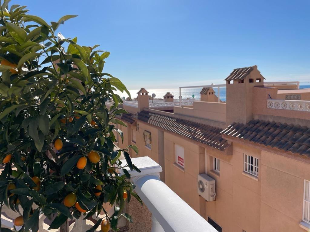 Apartament La Mata Torrevieja Exterior foto